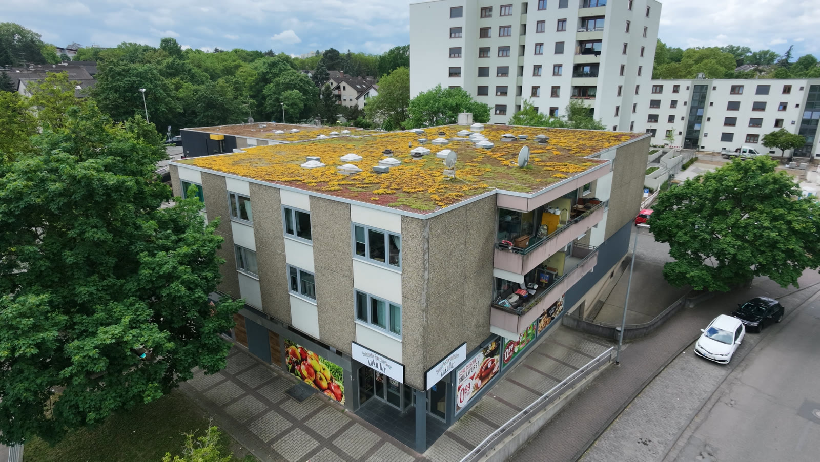 Luftaufnahme der Wohnanlage Am Lemmchen in Mainz-Mombach